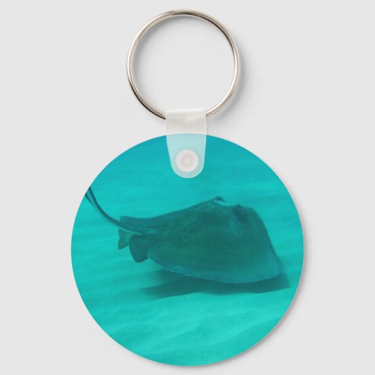 Porte-clés Stingray 2 (Recto)