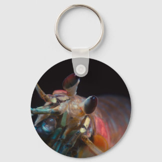 Porte-clés Stomatopod (crevettes de Mantis)