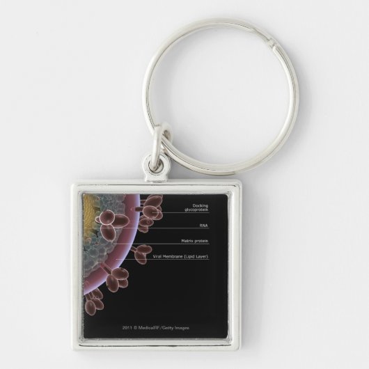 Porte-clés Structure d'une cellule d'HIV (Devant)