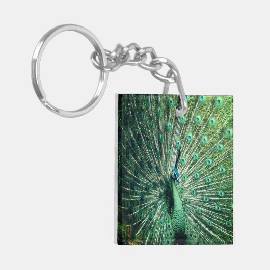 Porte-clés Strut Peacock (Devant gauche)