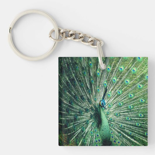 Porte-clés Strut Peacock (Devant)