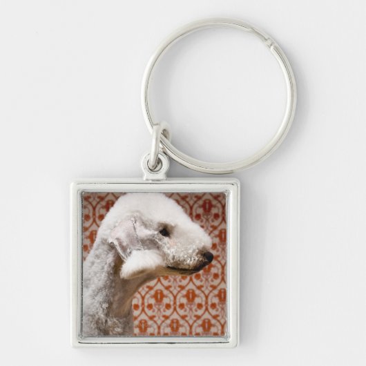 Porte-clés Studio tiré de Bedlington Terrier (Devant)