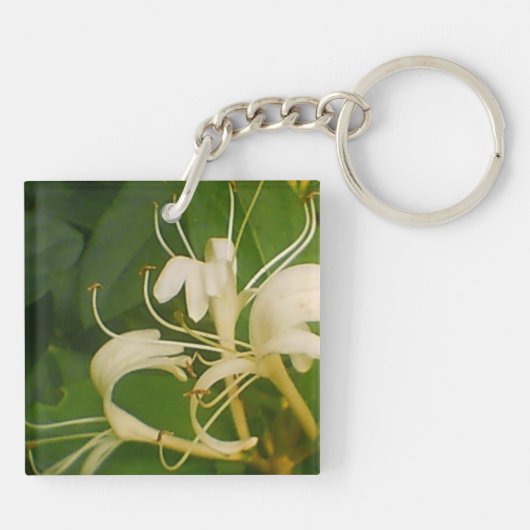 Porte-clés Succès de papillon en floraison (Dos)