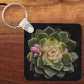 Porte-clés Succulent dans le point 7 (Recto)