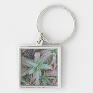 Porte-clés Succulentes du Nevada