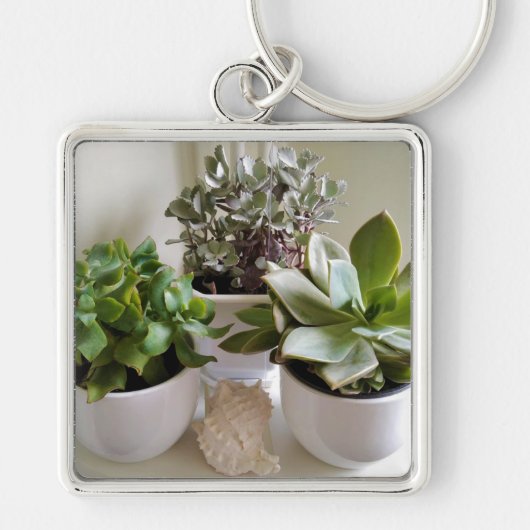 Porte-clés Succulentes en pot avec coquillage (Devant)
