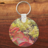 Porte-clés Succulents colorés (Recto)