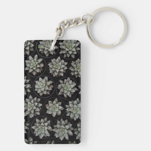 Porte-clés Succulents dans les pots (Dos)