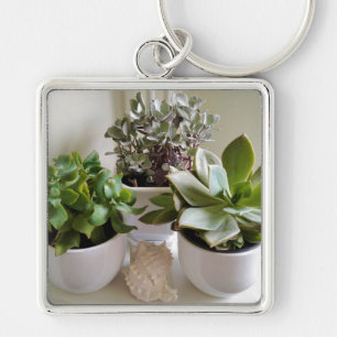 Porte-clés Succulents pointillés avec coquillage