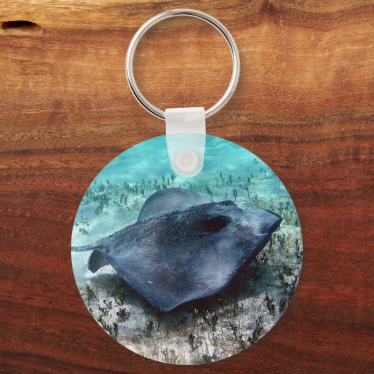 Porte-clés Sud de Stingray (Recto)