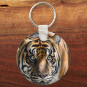 Porte-clés Sumatran Tiger (Recto)