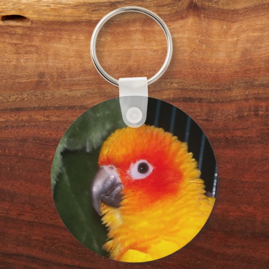 Porte-clés Sun Conure (Recto)