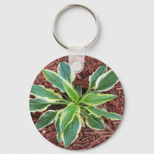 Porte-clés Sun Hosta