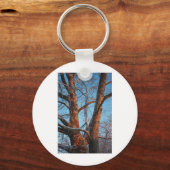 Porte-clés Sunrise Sycamore (Recto)