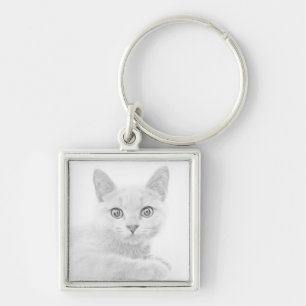 Porte-clés SUPER CUTE Kitten Portrait Photographie