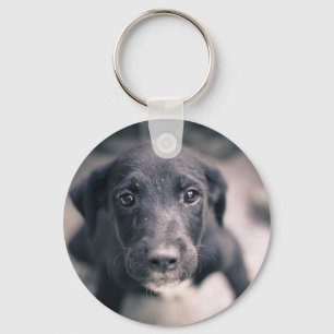 Porte-clés Super mignon Chien Chien Chien