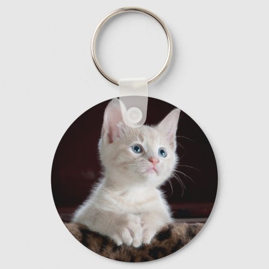 Porte-clés Super mignon Kitten blanc (Recto)