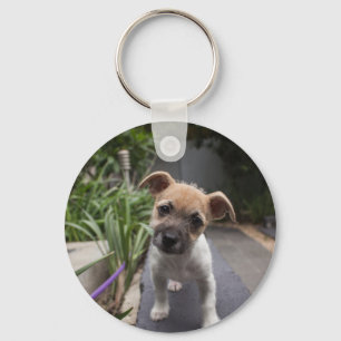 Porte-clés Super mignonne chiot Terrier à la frontière