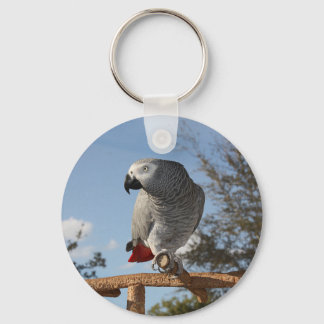 Porte-clés Superbe perroquet gris africain