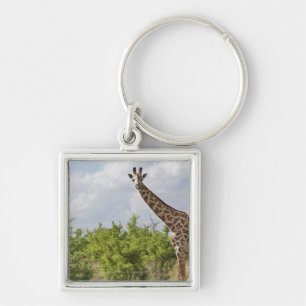 Porte-clés Sur le safari en Tanzanie, l'Afrique. 2