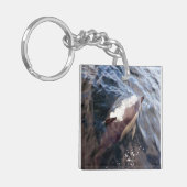 Porte-clés Surfaçage commun des dauphins (Devant gauche)