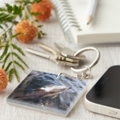 Porte-clés Surfaçage commun des dauphins (Devant Droit)