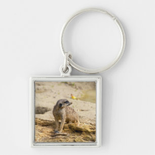 Porte-clés Suricate
