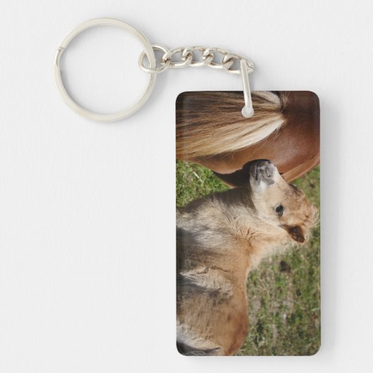 Porte-clés Sweet Haflinger Foal (Devant)