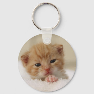 Porte-clés Sweet puppy kitty