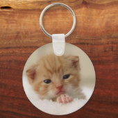 Porte-clés Sweet puppy kitty (Recto)