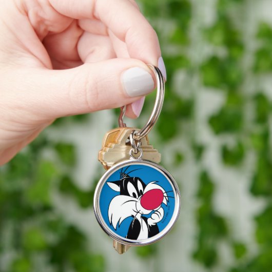 Porte-clés Sylvester Jr. | Pose classique (main)