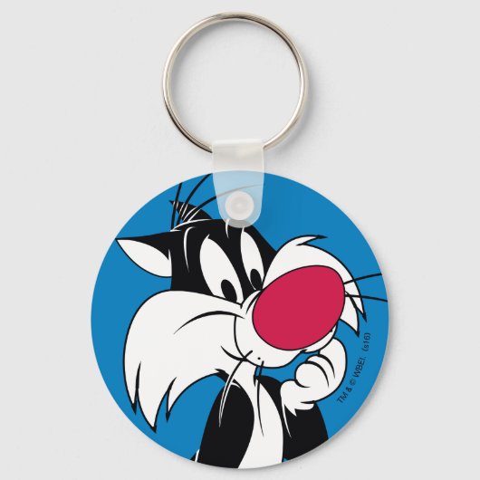 Porte-clés Sylvester Jr. | Pose classique (Recto)