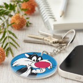 Porte-clés Sylvester| Pose classique (Devant droit)