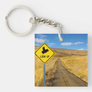 Porte-clés Symbole de porc volant