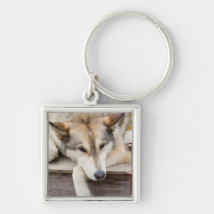 Porte-clés T.N., États-Unis, Alaska. Chiens de traîneau Husky