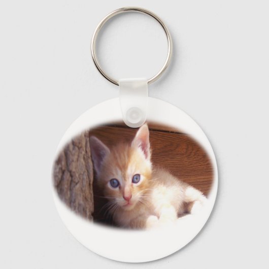 Porte-clés T-shirts Kitten et super mix (Recto)