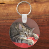 Porte-clés Tabby (Recto)