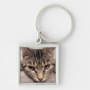 Porte-clés Tabby Cat-Instagram par Shirley Taylor
