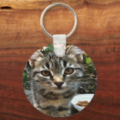 Porte-clés Tabby Cat Kitten Faire contact visuel (Recto)