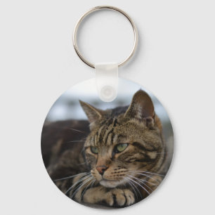 Porte-clés Tabby cat prêt à l'action