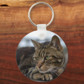 Porte-clés Tabby cat prêt à l'action (Recto)