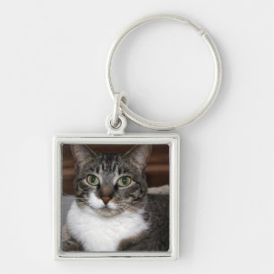 Porte-clés Tabby Cat vous regarde - Discontinuée par moi