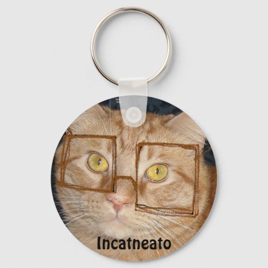 Porte-clés Tabby Orange Chat/Humour Incognito (Recto)