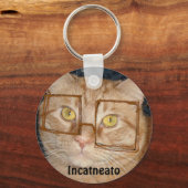 Porte-clés Tabby Orange Chat/Humour Incognito (Recto)