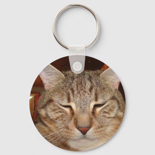 Porte-clés Tabby Tiger Cat (Recto)