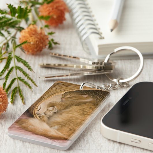 Porte-clés Table orange dormant dans le hamper (Devant droit)