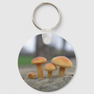 Porte-clés Tabourets Toadstools Porte - clé