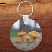 Porte-clés Tabourets Toadstools Porte - clé (Recto)
