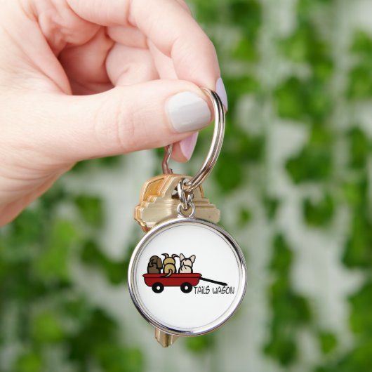 Porte-clés Tails Wagon (main)