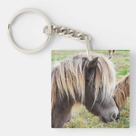 Porte-clés Tan Coloré Shetland Pony, (Devant)